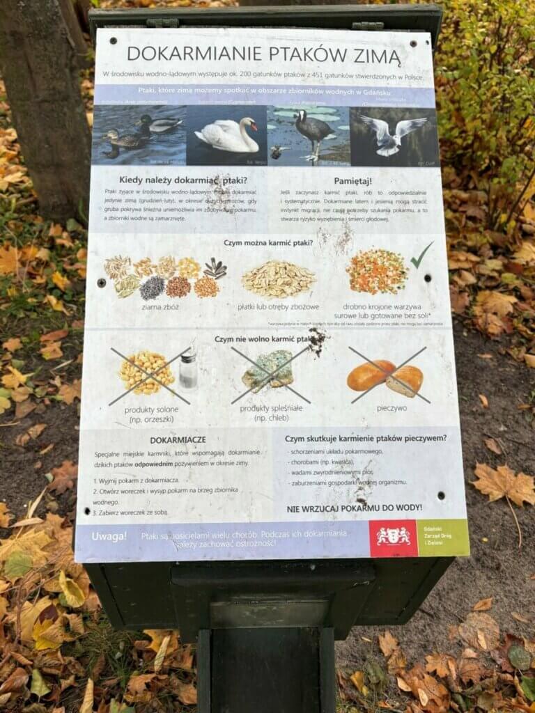 ptaki dokarmianie Jelitkowo tablica