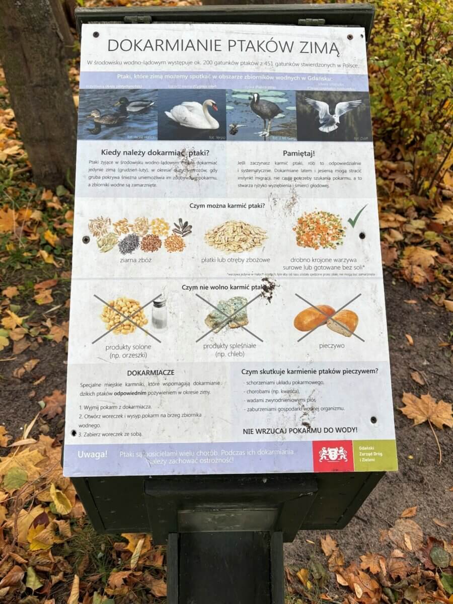 ptaki dokarmianie Jelitkowo tablica
